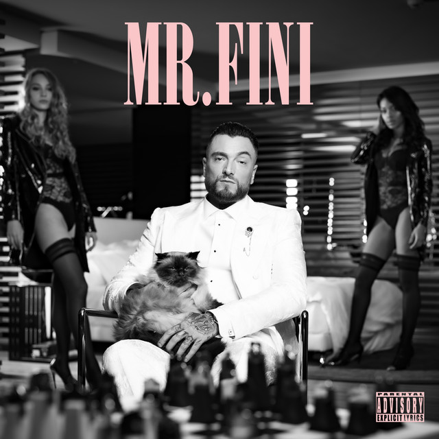 MR. FINI